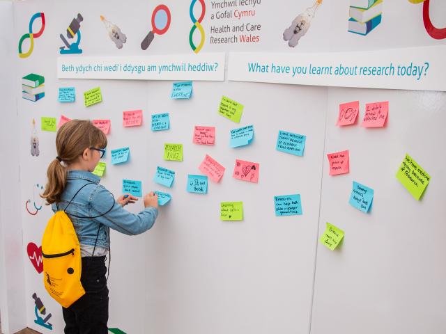 Young girl sticking stick notes to a wall