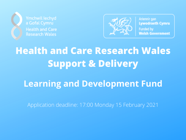Support and Delivery Learning and Development Fund 