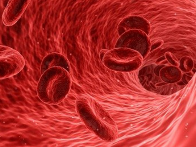 Blood cells