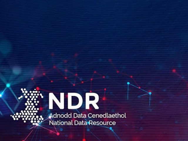 National Data Resource logo