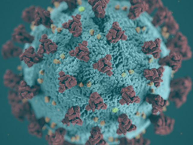 Image of virus