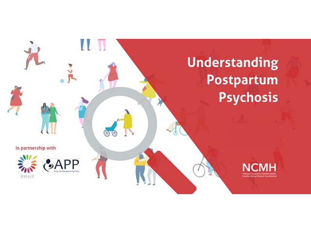 Understanding Postpartum Psychosis webinar