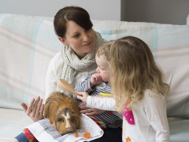 Children playing with pets