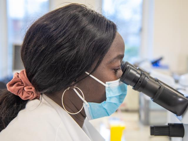 Researcher looking into a microscope