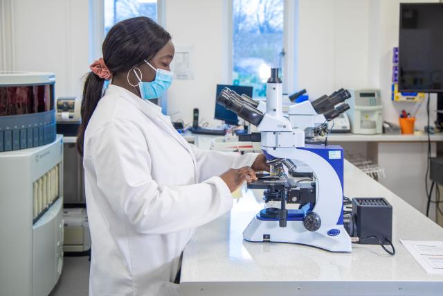 a female black biomedical scientist working at a microscope