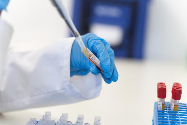 a scientist doing laboratory test 