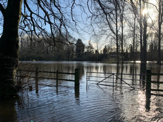 Flooded fields