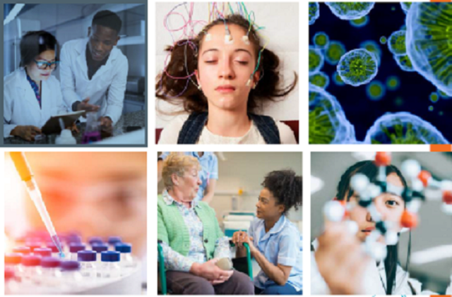 Group of 6 pictures showing MRC's work