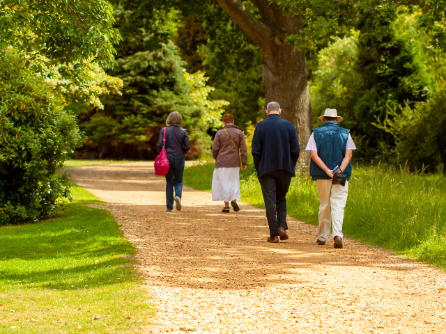 People strolling in the park