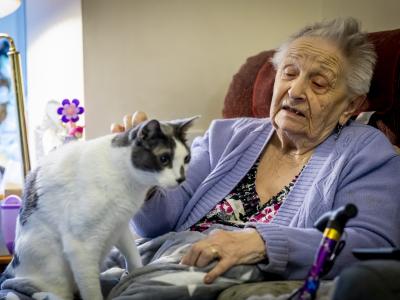 An elderly woman sitting on chair and stroking a black and white cat.