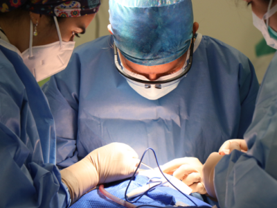 gene therapy trial